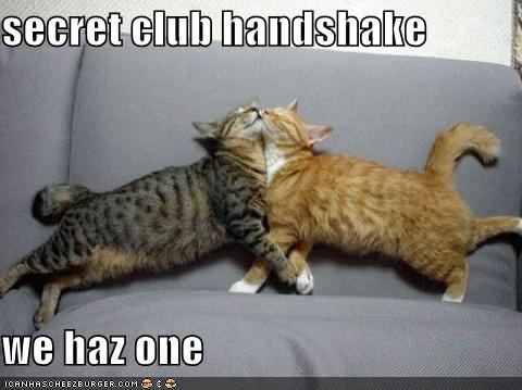 attachment_p_22596_0_funny-pictures-cats-secret-handshake.jpg